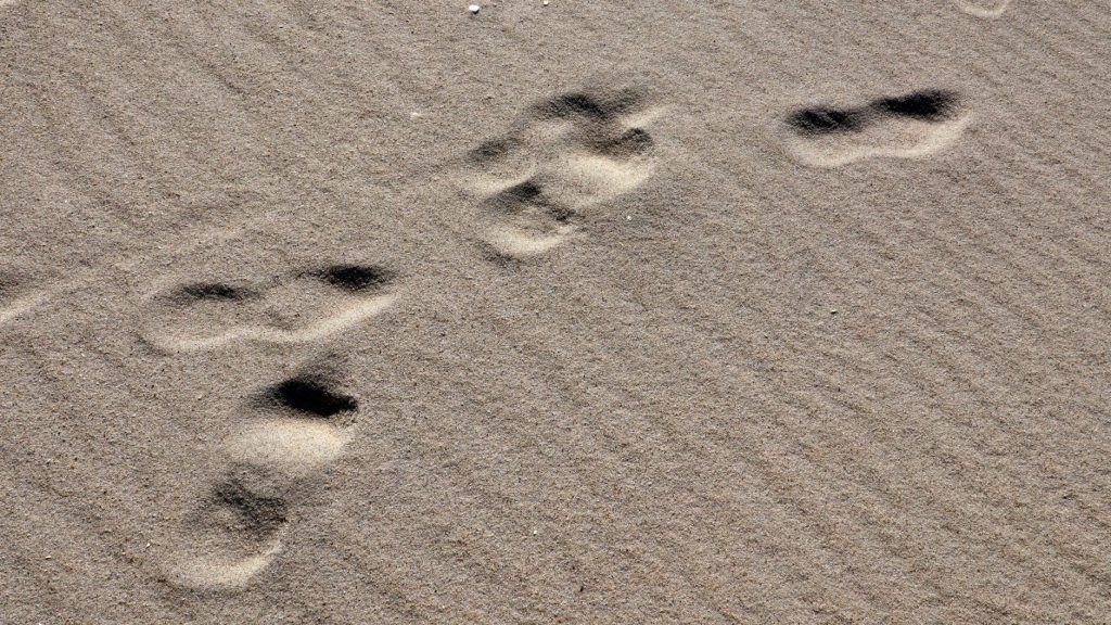 Footprints on a sandy surface