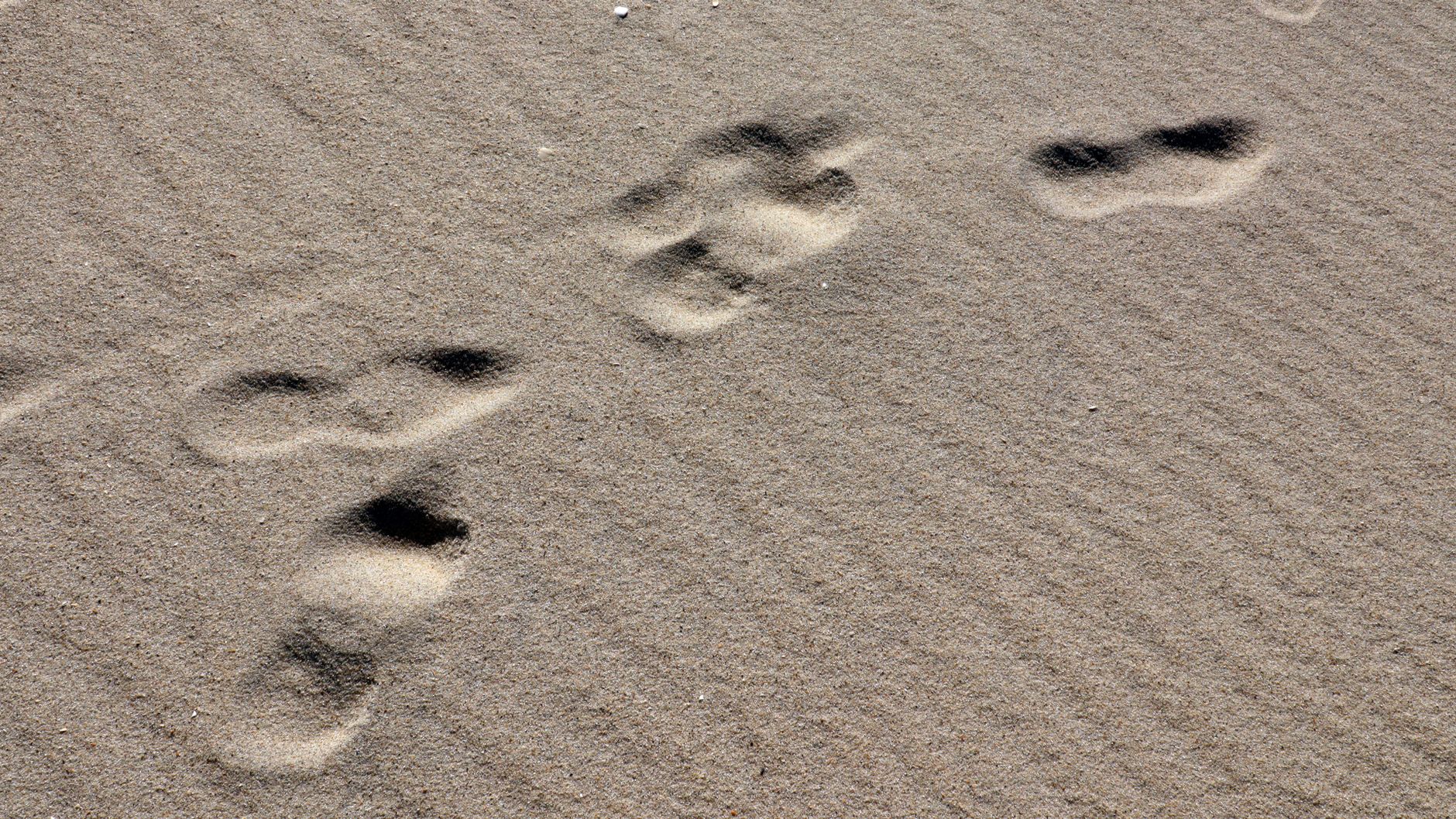 Footprints on a sandy surface