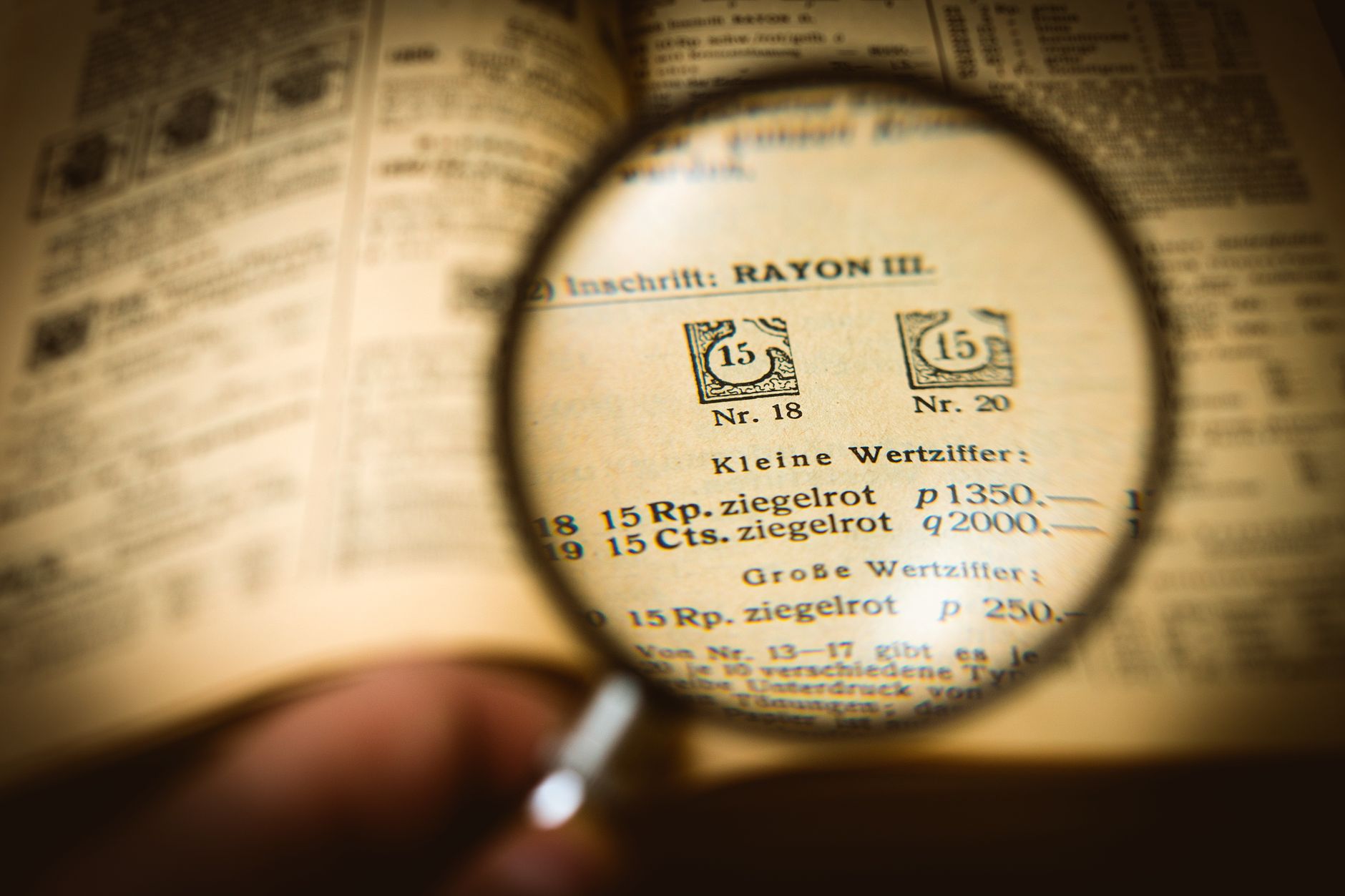 Magnifying glass inspecting document text