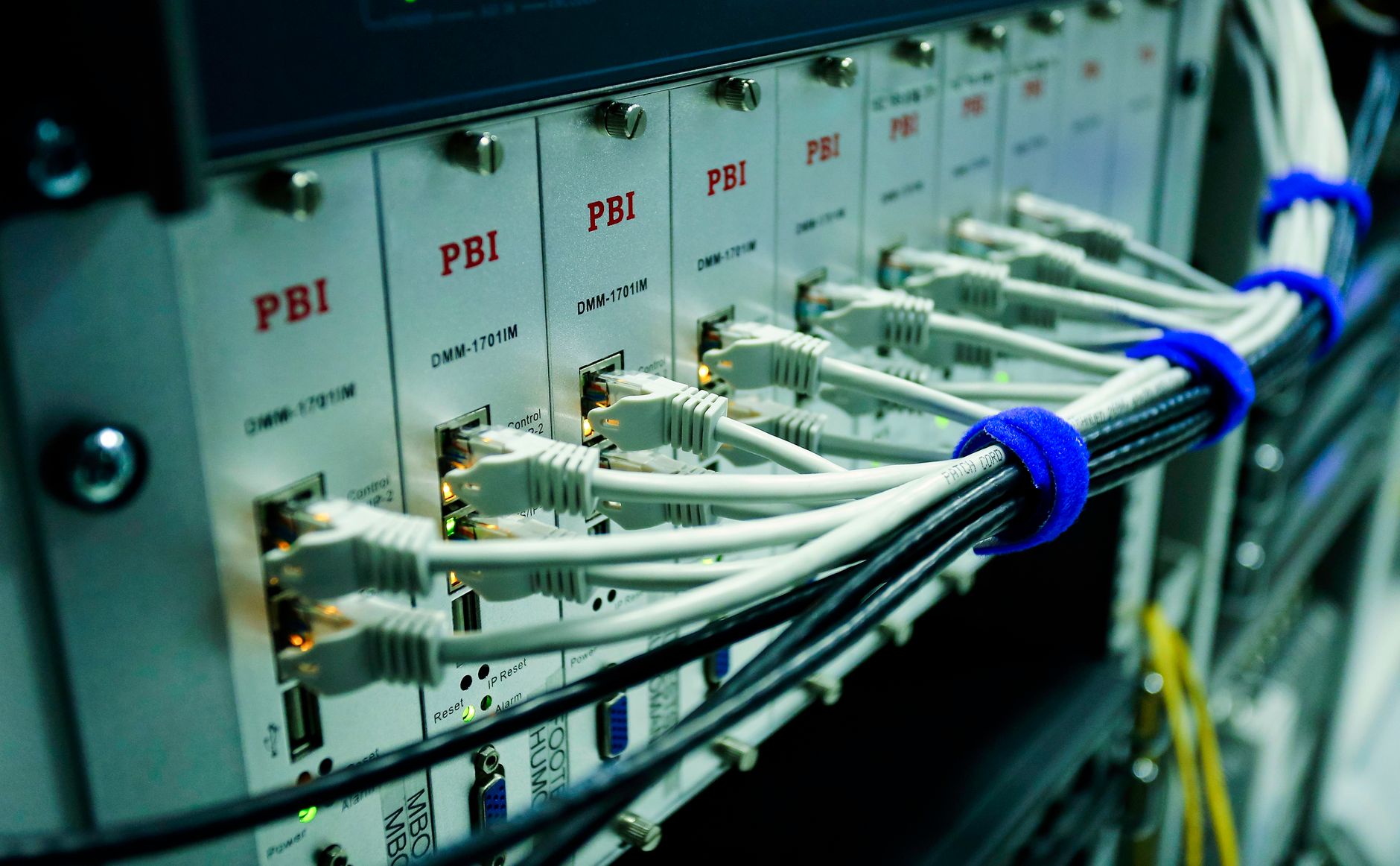 Close-up of ethernet cables plugged into a network switch panel in a data centre.